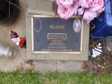 image of grave number 647101